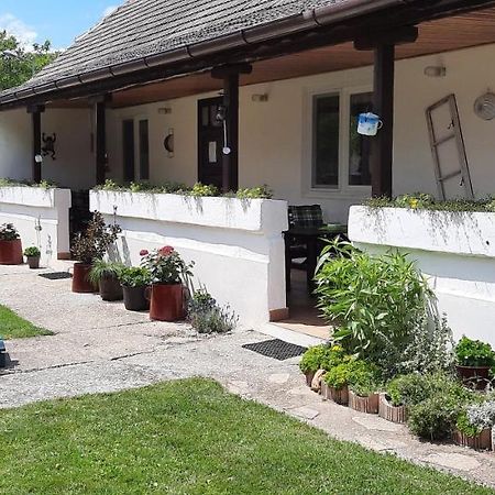 Apartamento Haus Wegleitner Apetlon Exterior foto